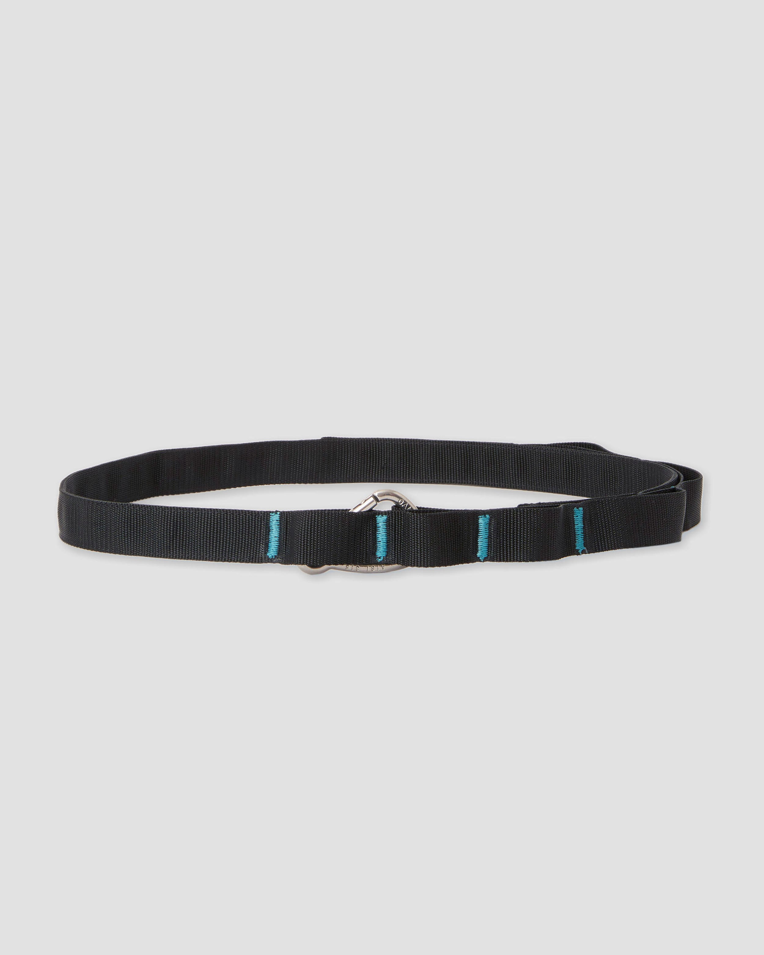 ASCENT BELT